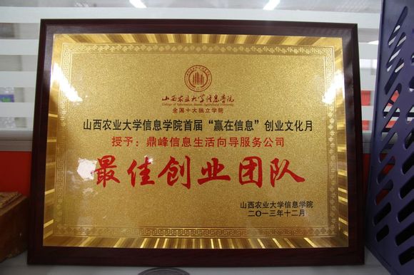 鼎峰信息生活向...